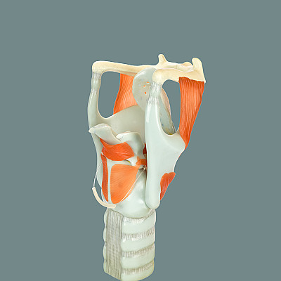 image/png