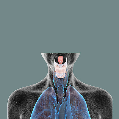 image/png